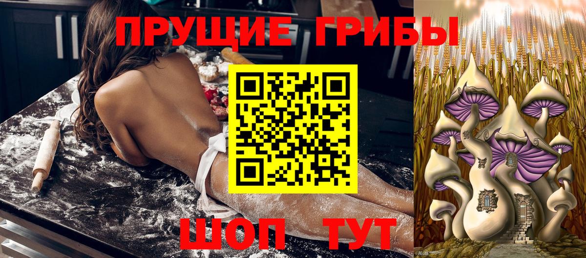 купить   Псилоцибиновые грибы GOLDEN TEACHER  Вход с VPN  Спасск-Дальний  Галлюциногенные грибы Psilocybine cubensis 